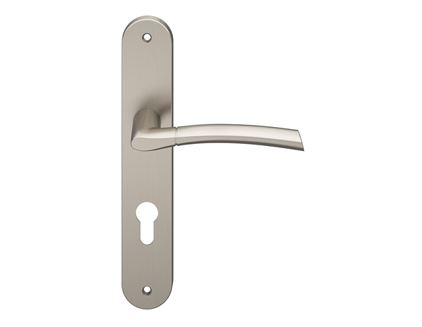 Poignée de porte extérieure "Helmic" avec trou pour clé - Entraxe 195 mm - Cooke and Lewis - Brico Dépôt