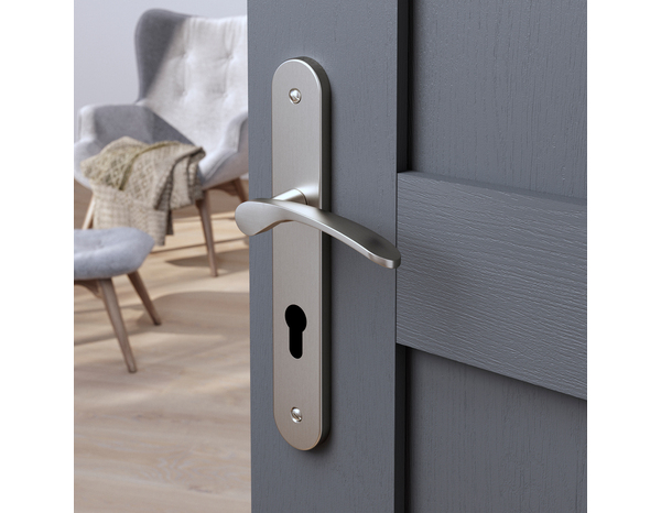Poignée de porte "Loric" avec trou pour cylindre - Effet nickel - Entraxe 195 mm - Cooke and Lewis - Brico Dépôt