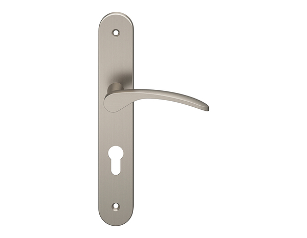 Poignée de porte "Loric" avec trou pour cylindre - Effet nickel - Entraxe 195 mm - Cooke and Lewis - Brico Dépôt