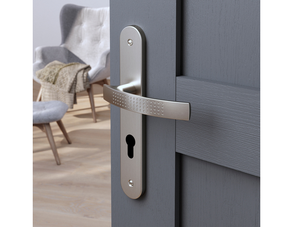 Poignée de porte "Edric" avec trou pour cylindre - Entraxe 195 mm - Cooke and Lewis - Brico Dépôt