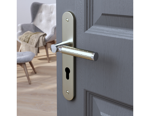 Poignée de porte "Bernice" avec trou pour cylindre - Entraxe 195 mm - Cooke and Lewis - Brico Dépôt