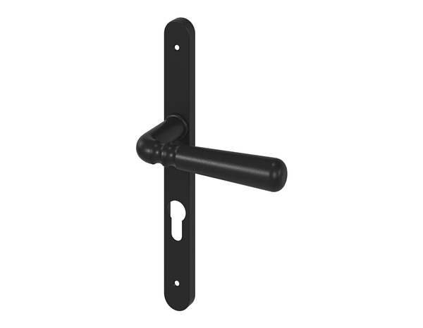 Poignée de porte extérieure "Kerline" avec trou pour cylindre - Entraxe 195 mm - Cooke and Lewis - Brico Dépôt