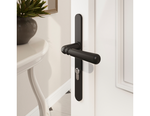 Poignée de porte extérieure "Kerline" avec trou pour cylindre - Entraxe 195 mm - Cooke and Lewis - Brico Dépôt