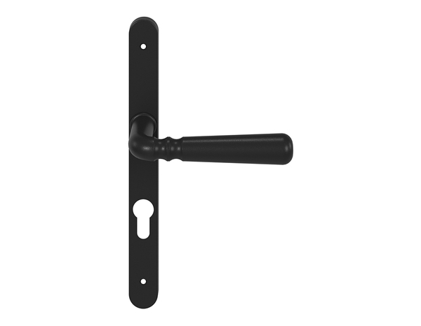 Poignée de porte extérieure "Kerline" avec trou pour cylindre - Entraxe 195 mm - Cooke and Lewis - Brico Dépôt