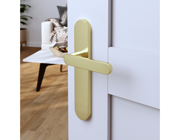 Poignée de porte "Marick" or sans trou - Entraxe adaptable 165-195 mm - Cooke and Lewis - Brico Dépôt