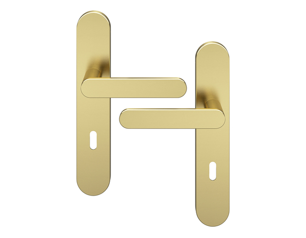 Poignée de porte "Marick" avec trou pour clé - Effet laiton - Entraxe adaptable 165-195 mm - Cooke and Lewis - Brico Dépôt