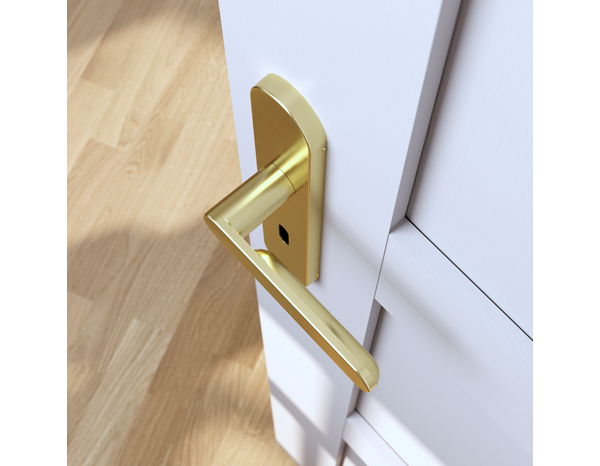 Poignée de porte "Marick" avec trou pour clé - Effet laiton - Entraxe adaptable 165-195 mm - Cooke and Lewis - Brico Dépôt