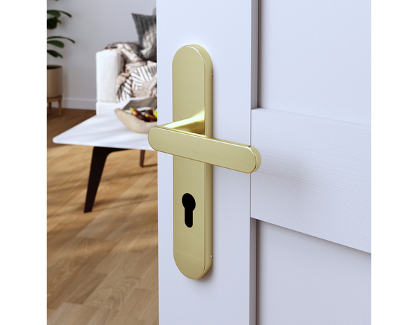 Poignée de porte "Marick" avec trou pour cylindre - Effet laiton - Entraxe adaptable 165-195 mm - Cooke and Lewis - Brico Dépôt