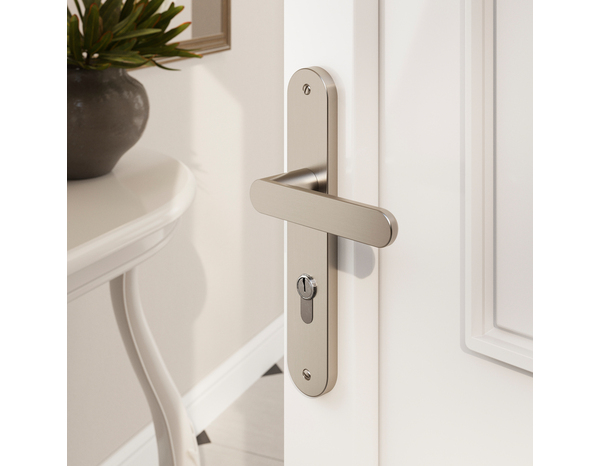 Poignée de porte extérieure "Marick" avec trou pour cylindre - Entraxe 195 mm - Cooke and Lewis - Brico Dépôt