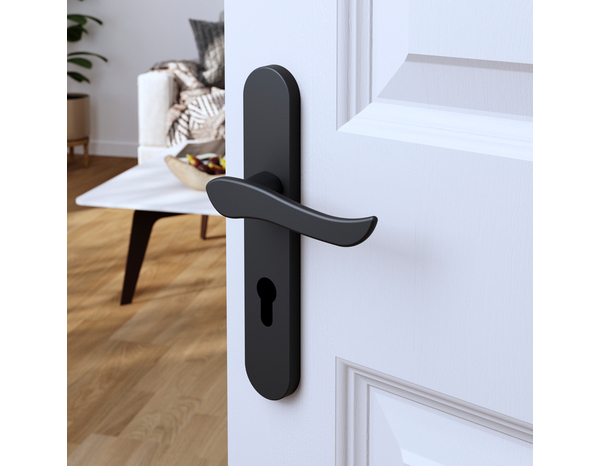 Poignée de porte "Arcles" avec trou pour cylindre - Noir - Entraxe adaptable 165-195 mm - Cooke and Lewis - Brico Dépôt