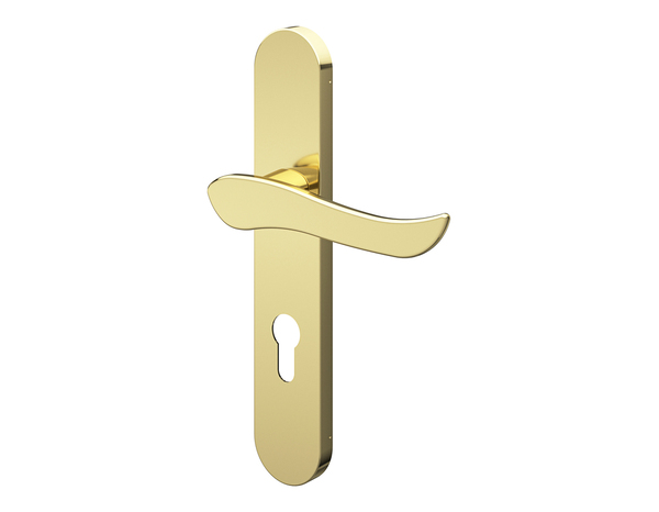 Poignée de porte "Arcles" avec trou pour cylindre - Effet laiton - Entraxe adaptable 165-195 mm - Cooke and Lewis - Brico Dépôt