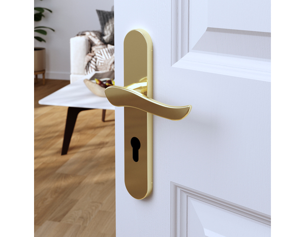 Poignée de porte "Arcles" avec trou pour cylindre - Effet laiton - Entraxe adaptable 165-195 mm - Cooke and Lewis - Brico Dépôt