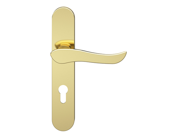 Poignée de porte "Arcles" avec trou pour cylindre - Effet laiton - Entraxe adaptable 165-195 mm - Cooke and Lewis - Brico Dépôt