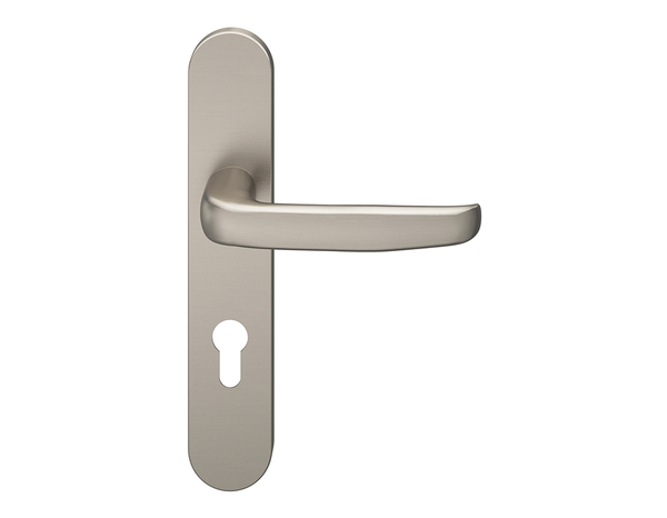 Poignée de porte "Goderic" avec trou pour cylindre - Effet nickel - Entraxe adaptable 165-195 mm - Cooke and Lewis - Brico Dépôt