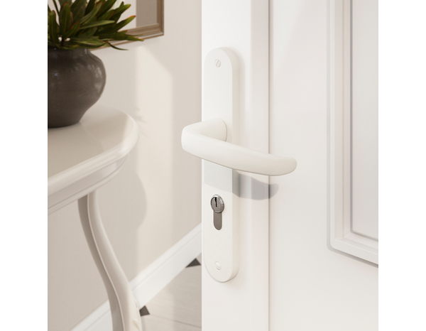 Poignée de porte extérieure "Goderic" avec trou pour cylindre - Blanc - Entraxe 195 mm - Cooke and Lewis - Brico Dépôt