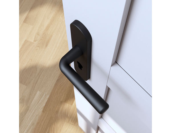 Poignée de porte "Derenic" avec trou pour cylindre - Noir - Entraxe adaptable 165-195 mm - Cooke and Lewis - Brico Dépôt