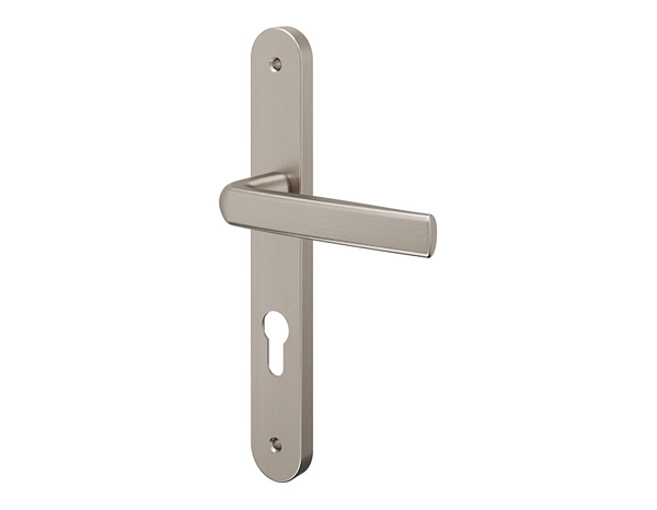 Poignée de porte extérieure "Iza" avec trou pour cylindre - Entraxe 195 mm - Brico Dépôt