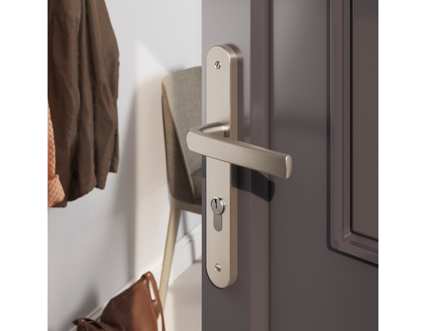 Poignée de porte extérieure "Iza" avec trou pour cylindre - Entraxe 195 mm - Brico Dépôt