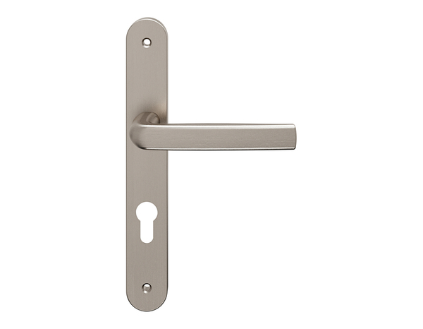 Poignée de porte extérieure "Iza" avec trou pour cylindre - Entraxe 195 mm - Brico Dépôt