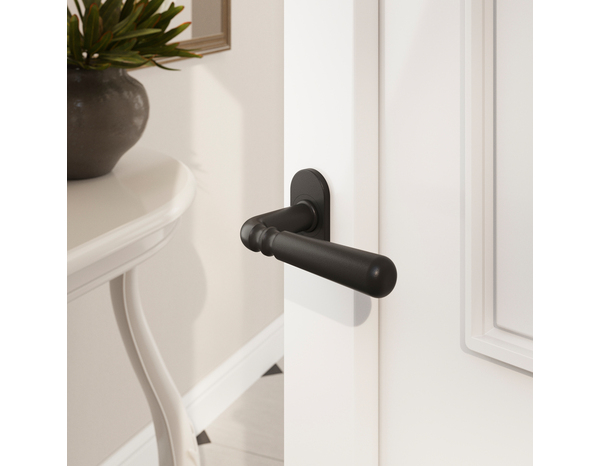 Poignée de porte sur rosace extérieure "Kerline" - Noir - Cooke and Lewis - Brico Dépôt