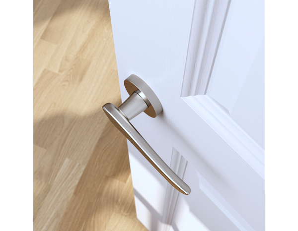 Poignée de porte sur rosace "Arcles" sans trou - Cooke and Lewis - Brico Dépôt