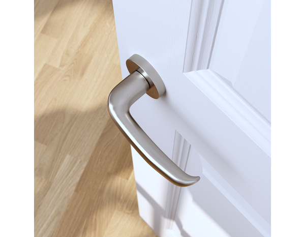 Poignée de porte sur rosace "Goderic" sans trou - Cooke and Lewis - Brico Dépôt