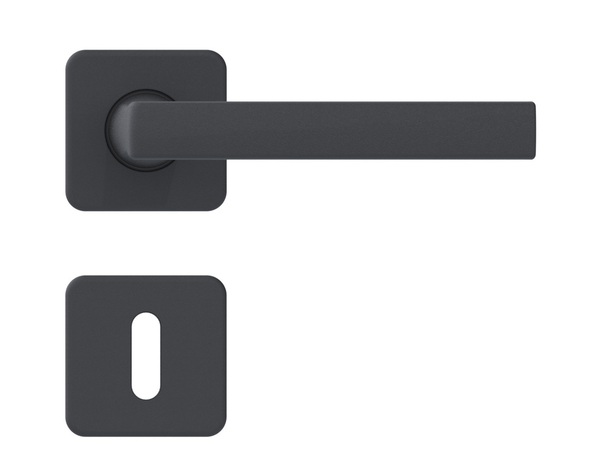 Poignée de porte sur rosace "Koya" avec trou pour clé - Entraxe 24 mm - Assa Abloy - Brico Dépôt