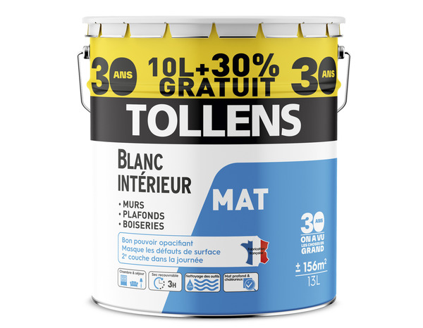 Peinture blanche murs et plafonds bicouche mat - 13 L - Tollens - Brico Dépôt