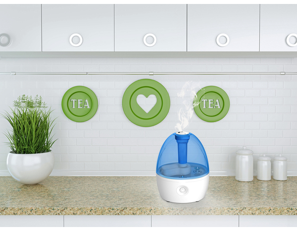 Mini humidificateur pour chambre - Blanc et bleu - Brico Dépôt