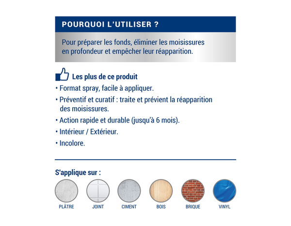 Traitement anti-moisissures intérieur extérieur 0,5 L - Ripolin - Brico Dépôt