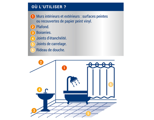 Traitement anti-moisissures intérieur extérieur 0,5 L - Ripolin - Brico Dépôt