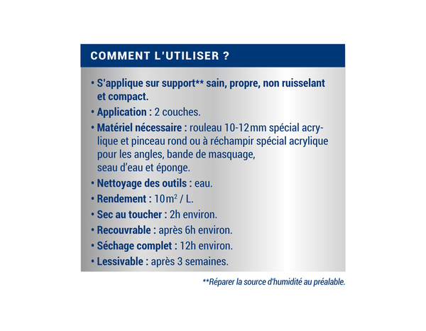 Peinture anti-humidité intérieur satin blanc 2,5 L - Ripolin - Brico Dépôt