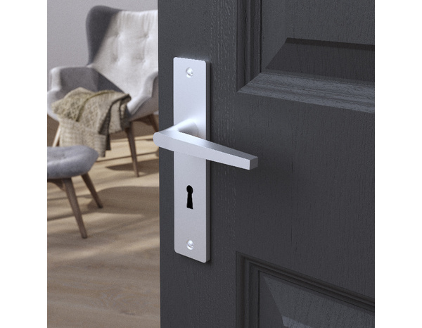 Poignée de porte "Cyriac" avec trou pour clé - Entraxe 195 mm - Cooke and Lewis - Brico Dépôt