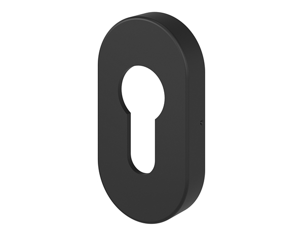 Rosace extérieure "DUOD" avec trou de serrure pour cylindre - Noir - Cooke and Lewis - Brico Dépôt