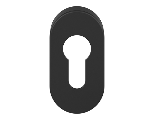 Rosace extérieure "DUOD" avec trou de serrure pour cylindre - Noir - Cooke and Lewis - Brico Dépôt