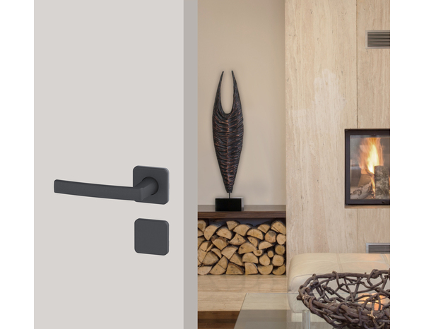 Poignée de porte sur rosace "Koya" - Entraxe 24 mm - Assa Abloy - Brico Dépôt