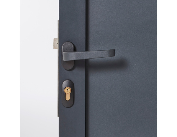 Porte aluminium "Neva" l. 93 cm x H. 171,5 cm - Marque BLOOMA - Brico Dépôt