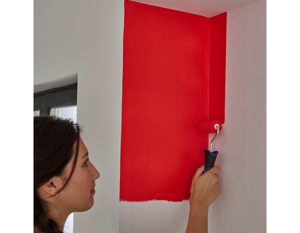 Mini rouleau murs et plafonds 65 mm - Brenner - Brico Dépôt