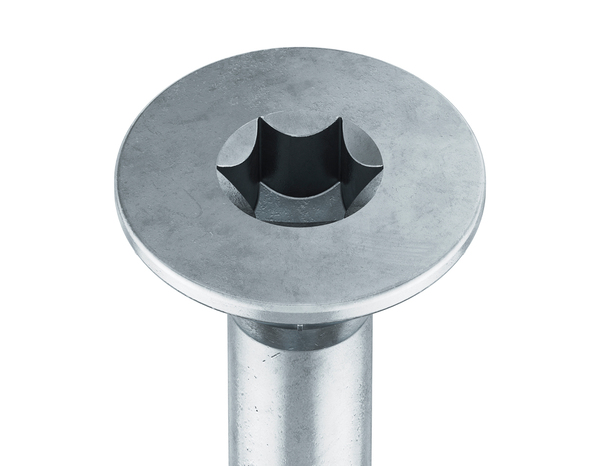 Vis multi-usage tête fraisée Torx 8 x 160 mm - Brenner - Brico Dépôt