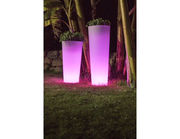 Pot LED Ficus solaire "Smartech" - Brico Dépôt