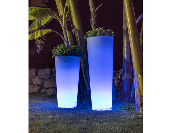 Pot LED Ficus solaire "Smartech" - Brico Dépôt