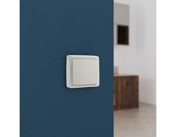 Interrupteur va et vient en saillie blanc "Barran" - Brico Dépôt