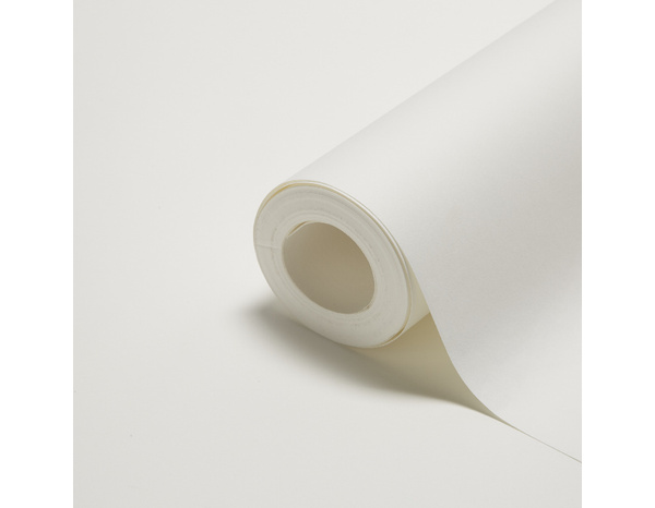 Revêtement renovation lisse prépeint 160g - 15 m - Brenner - Brico Dépôt