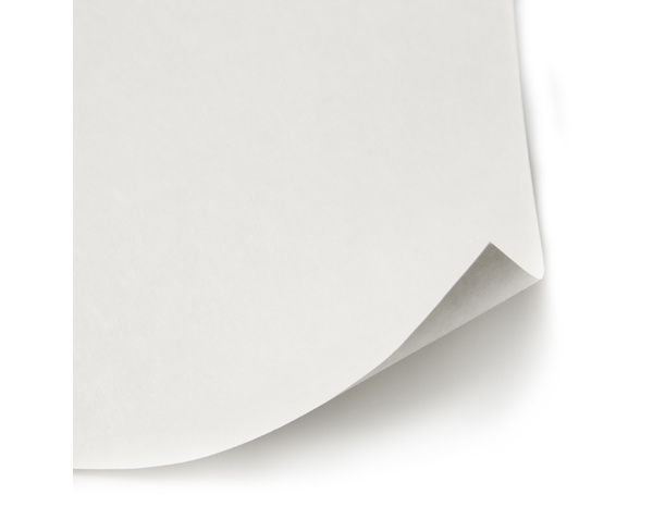 Revêtement renovation lisse 120g - 15 m - Brenner - Brico Dépôt