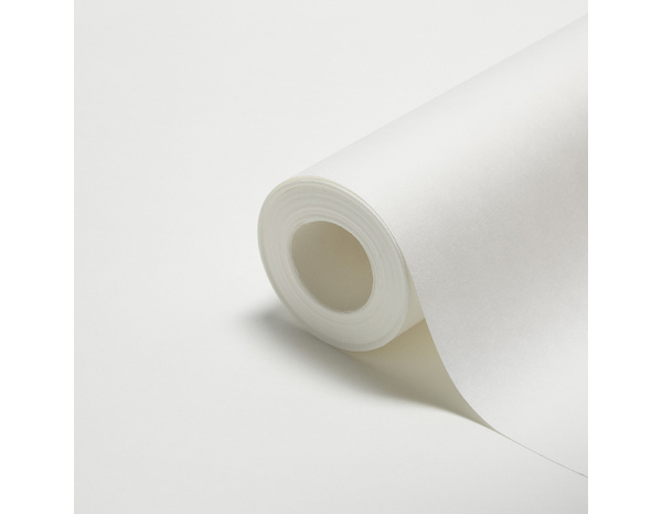 Revêtement renovation lisse 150g - 15 m - Brenner - Brico Dépôt