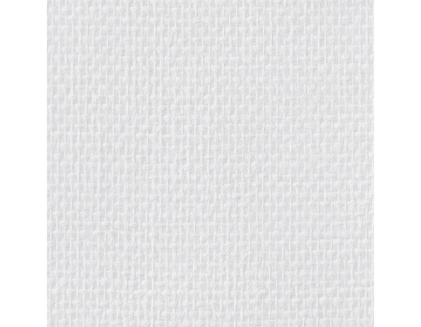 Fibre de verre prepeinte 120g - 25 m - Brenner - Brico Dépôt