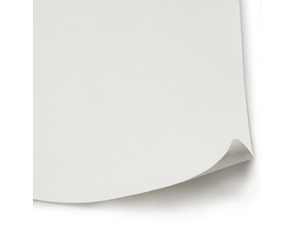 Revêtement renovation lisse 180g - 15 m - Brenner - Brico Dépôt