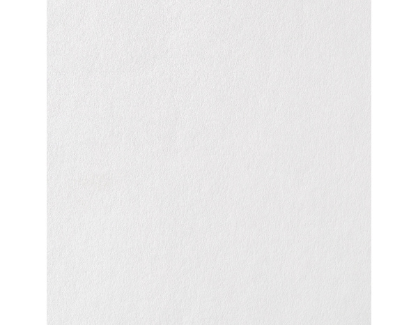 Revêtement renovation lisse prépeint 160g - 15 m - Brenner - Brico Dépôt