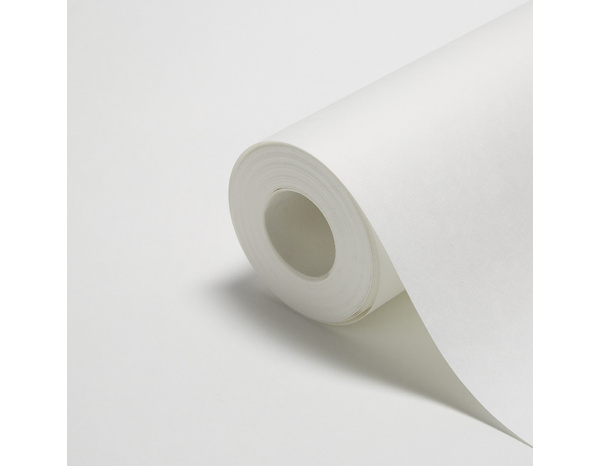 Revêtement renovation lisse 120g - 50 m - Brenner - Brico Dépôt