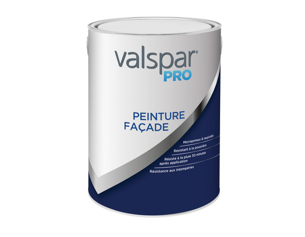 Peinture extérieure façade lisses 5 L - Valspar - Brico Dépôt